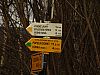DSC05996.jpg